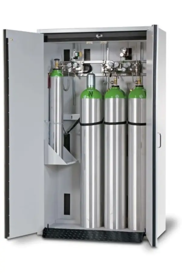Lab Gas Cylinder Cabinet